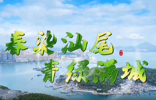 守护绿美汕尾 共筑平安清明